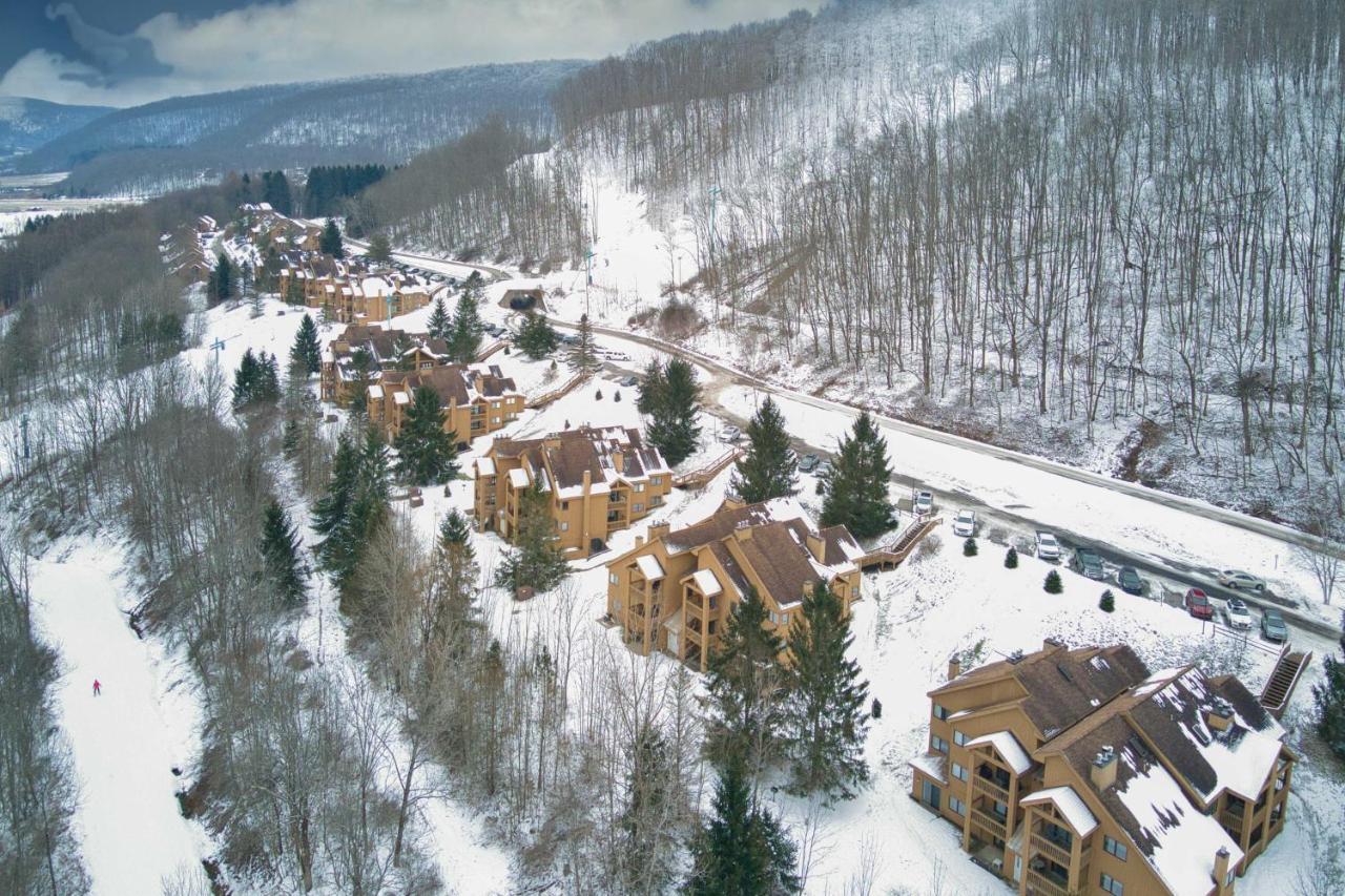 Ski-Inandout And Golf Condo With Aandc At Holiday Valley! Еллікоттвілл Екстер'єр фото